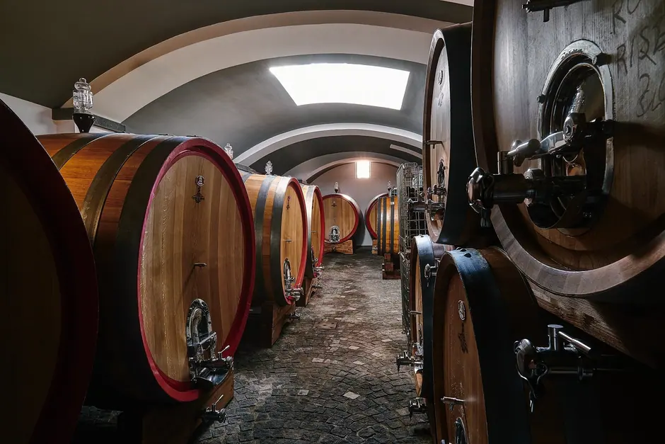 Pompeii Vesuvius Winery-18