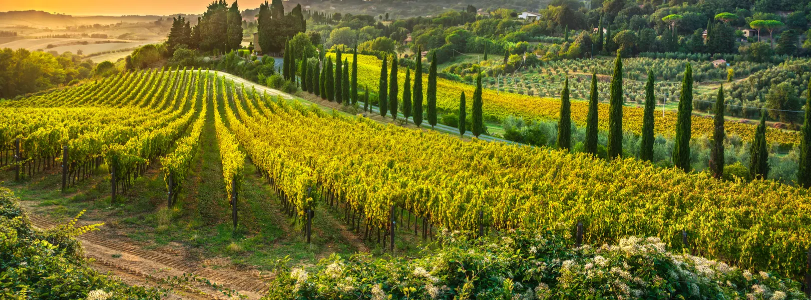 Your Lovely Tailor Made Italian Tour