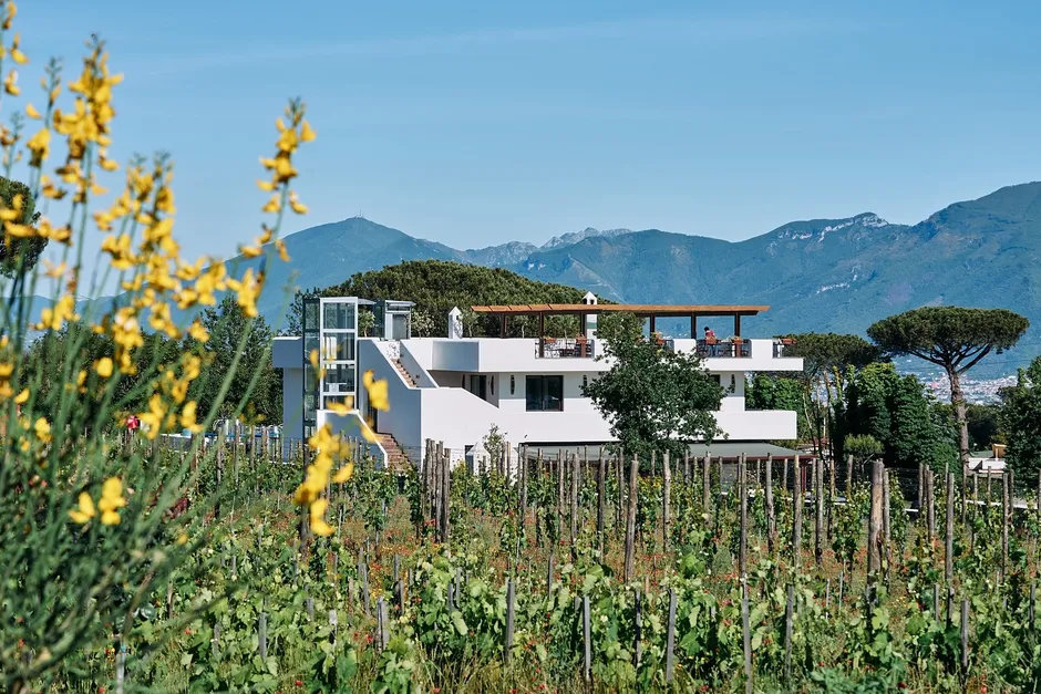 Pompeii Vesuvius Winery-20