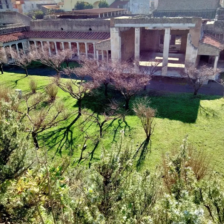 Oplontis, Stabiae & Boscoreale-8