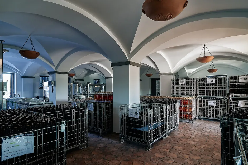 Pompeii Vesuvius Winery-19